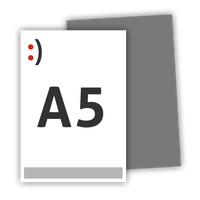 Briefpapier DIN A5, 4/1 farbig<br>(Vorderseite: farbig / Rückseite: Graustufen)