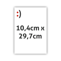 Flyer 10,4 cm x 29,7 cm, einseitig bedruckt